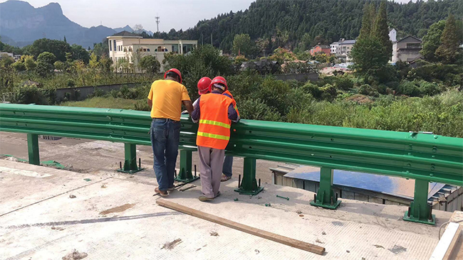 萍乡高速公路护栏板的维护确保道路安全的关键环节